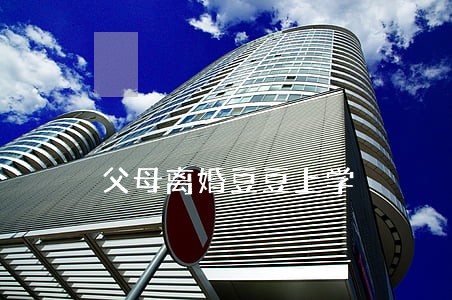 父母离婚豆豆上学 父母离婚豆豆上学