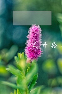 父母给孩子买房后想离婚 父母给孩子买房后想离婚