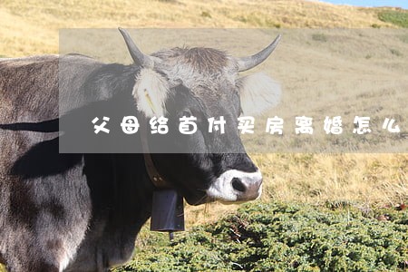 父母给首付买房离婚怎么办手续