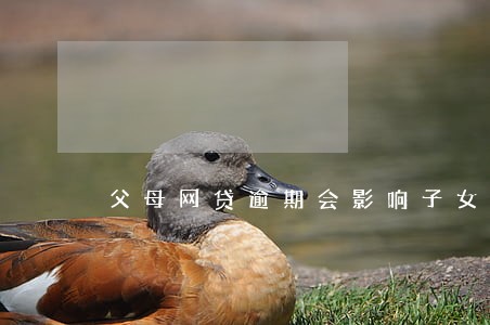 父母网贷逾期会影响子女当兵吗