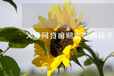 父母网贷逾期会影响孩子考公安吗 父母网贷逾期会影响孩子考公安吗