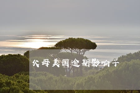 父母美国逾期影响子 父母美国逾期影响子