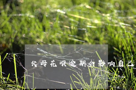 父母花呗逾期会影响自己信用度吗