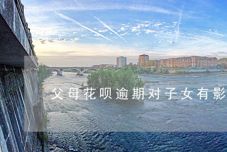 父母花呗逾期对子女有影响吗