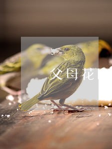 父母花呗逾期影响子女考公务员么