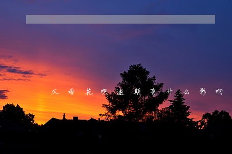 父母花呗逾期有什么影响 父母花呗逾期有什么影响