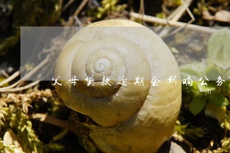 父母贷款逾期会影响公务员 父母贷款逾期会影响公务员