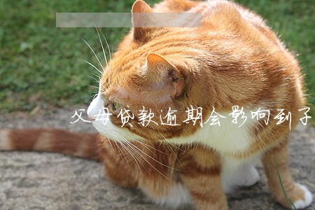 父母贷款逾期会影响到子女 父母贷款逾期会影响到子女