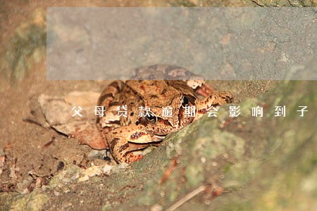 父母贷款逾期会影响到子女资产 父母贷款逾期会影响到子女资产