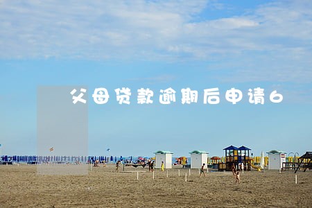 父母贷款逾期后申请6