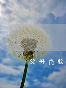 父母贷款逾期子女申请贷款