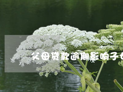 父母贷款逾期影响子女贷款吗 父母贷款逾期影响子女贷款吗