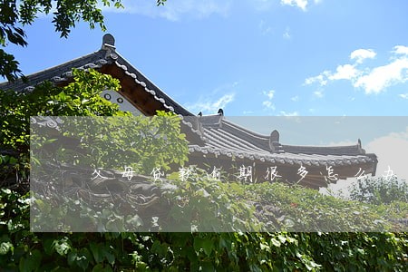 父母贷款逾期很多怎么办 父母贷款逾期很多怎么办