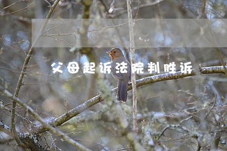 父母起诉法院判胜诉 父母起诉法院判胜诉
