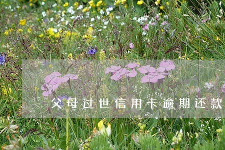 父母过世信用卡逾期还款后果