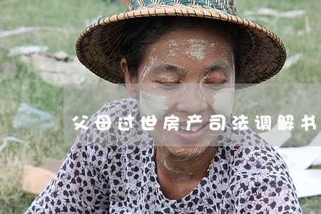 父母过世房产司法调解书 父母过世房产司法调解书