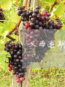 父母逾期 父母逾期