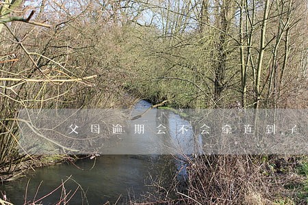 父母逾期会不会牵连到子女 父母逾期会不会牵连到子女