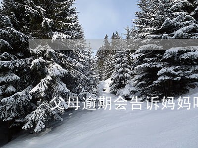 父母逾期会告诉妈妈吗