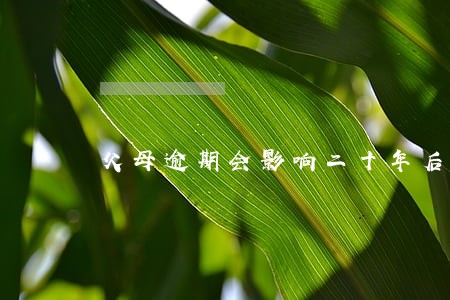 父母逾期会影响二十年后的孩子 父母逾期会影响二十年后的孩子