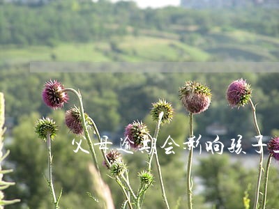 父母逾期会影响孩子上公立学校吗 父母逾期会影响孩子上公立学校吗