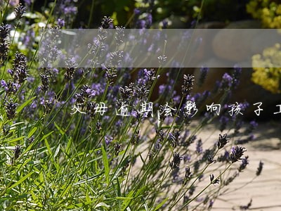 父母逾期会影响孩子工作吗