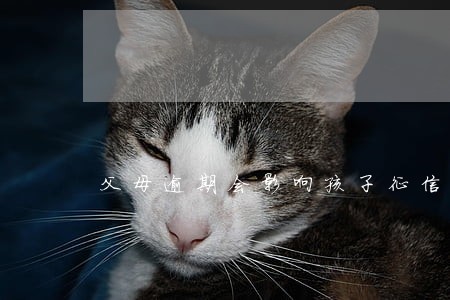 父母逾期会影响孩子征信吗 父母逾期会影响孩子征信吗