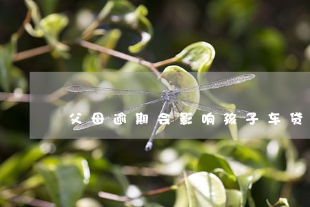 父母逾期会影响孩子车贷吗 父母逾期会影响孩子车贷吗
