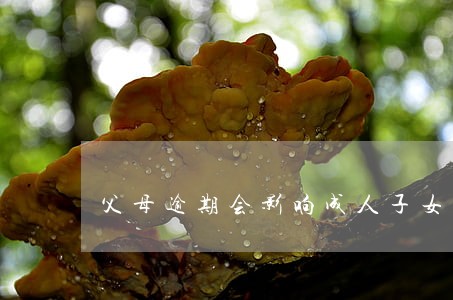 父母逾期会影响成人子女 父母逾期会影响成人子女