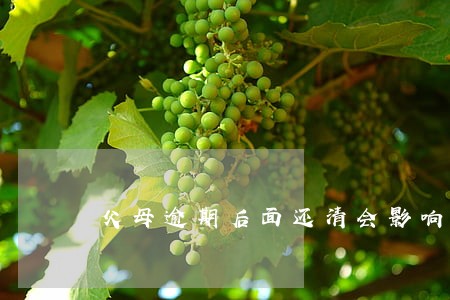 父母逾期后面还清会影响子女吗 父母逾期后面还清会影响子女吗