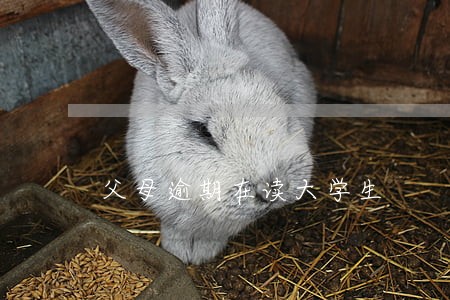 父母逾期在读大学生 父母逾期在读大学生