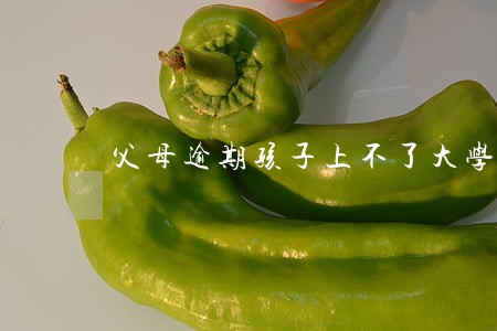 父母逾期孩子上不了大学