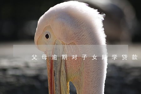 父母逾期对子女助学贷款