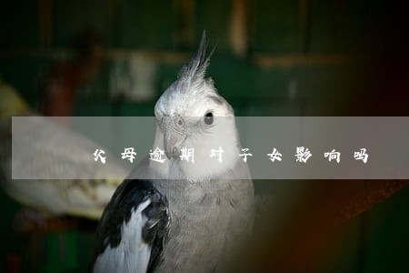 父母逾期对子女影响吗 父母逾期对子女影响吗