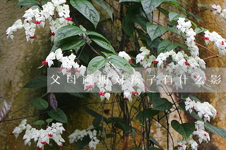 父母逾期对孩子有什么影响 父母逾期对孩子有什么影响