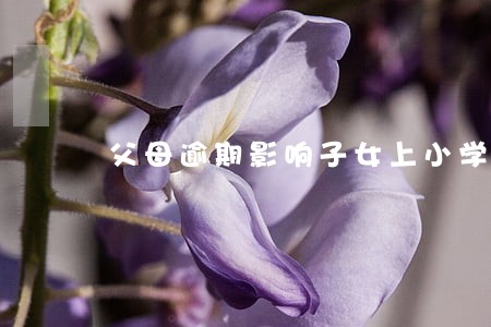 父母逾期影响子女上小学吗 父母逾期影响子女上小学吗