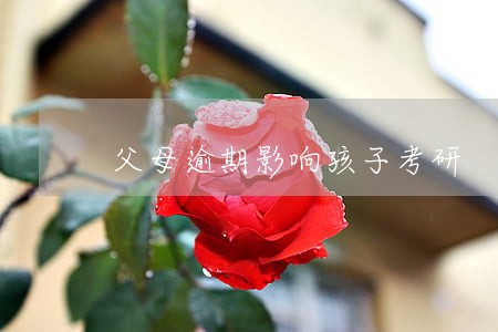 父母逾期影响孩子考研 父母逾期影响孩子考研