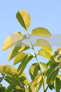 父母逾期房产还能卖吗 父母逾期房产还能卖吗