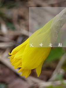父母逾期考公务员 父母逾期考公务员