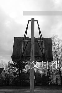 父母都是律师