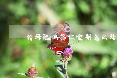 父母配偶签证逾期怎么处理 父母配偶签证逾期怎么处理