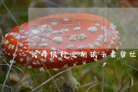 父母银行逾期孩子要帮忙偿还 父母银行逾期孩子要帮忙偿还