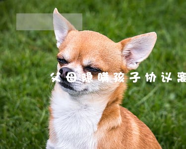父母隐瞒孩子协议离婚 父母隐瞒孩子协议离婚