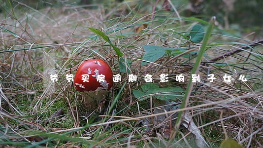 爷爷买房逾期会影响到子女么 爷爷买房逾期会影响到子女么