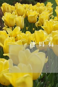 爸妈有逾期影响孩子买房吗 爸妈有逾期影响孩子买房吗