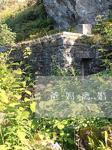 爸妈离婚10天回去看孩子 爸妈离婚10天回去看孩子