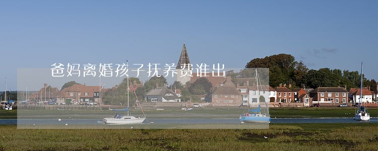 爸妈离婚孩子抚养费谁出 爸妈离婚孩子抚养费谁出