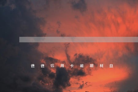 爸爸信用卡逾期利息