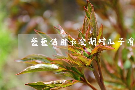 爸爸信用卡逾期对儿子有影响吗