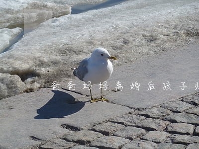 爸爸妈妈离婚后孩子归谁 爸爸妈妈离婚后孩子归谁